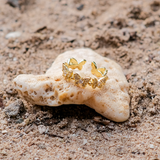 Goldring Colleen Mariposa